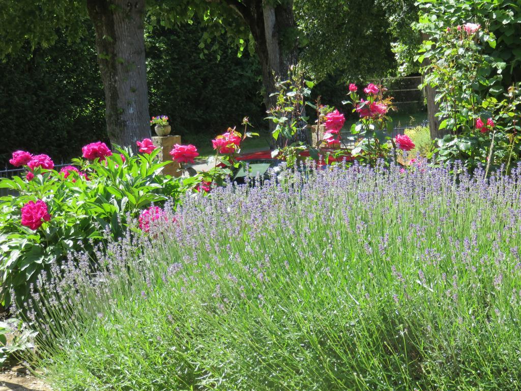 Les Quatre Saisons Bed and Breakfast Moitron-sur-Sarthe Exterior foto