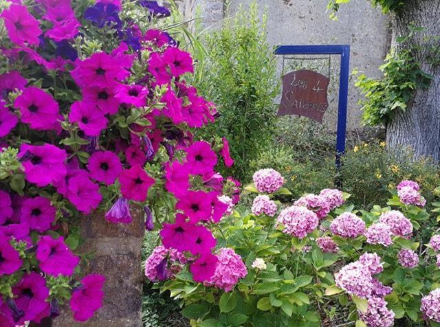 Les Quatre Saisons Bed and Breakfast Moitron-sur-Sarthe Exterior foto